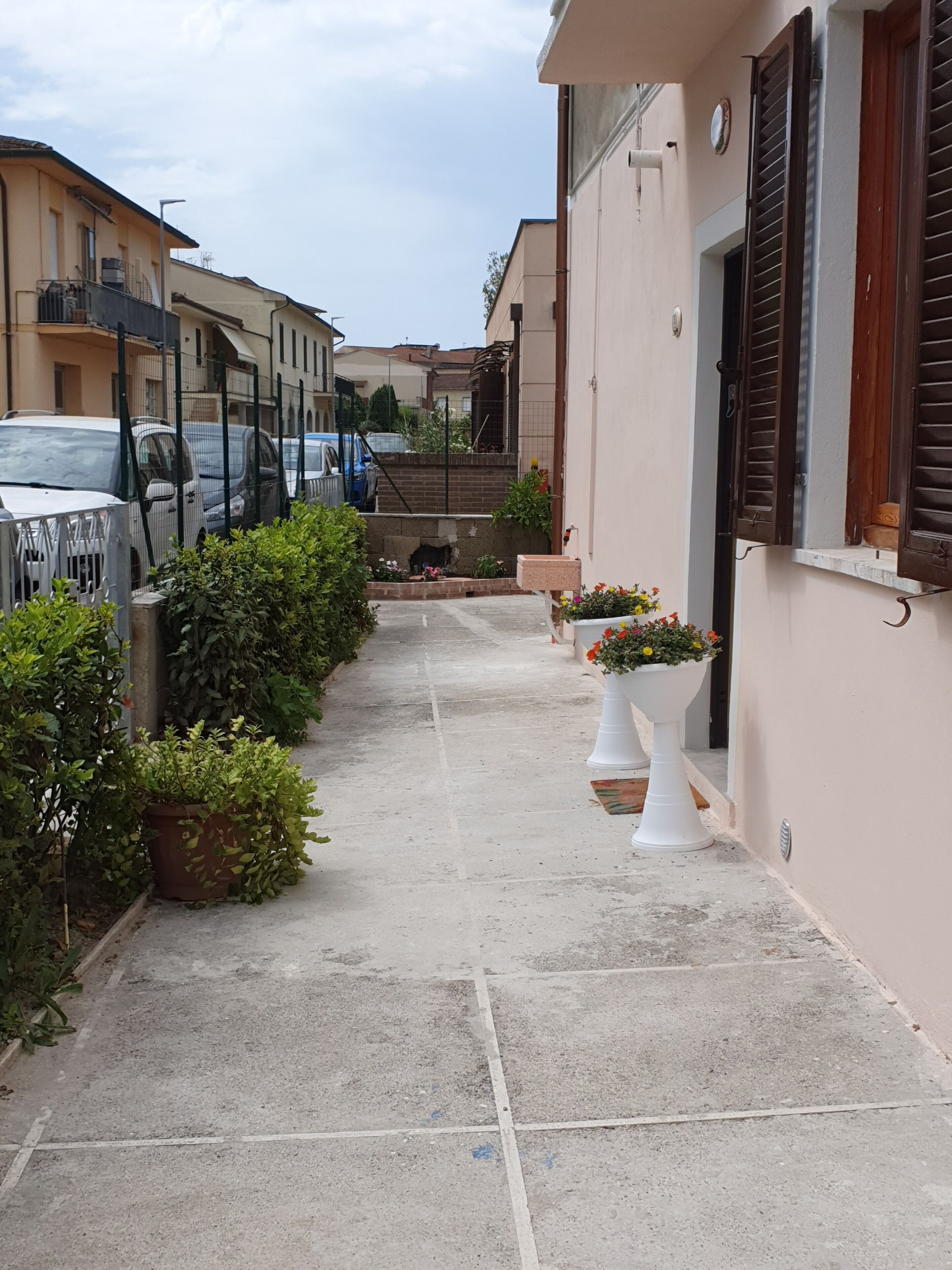 A narrow alleyway with a paved path, bordered by greenery and potted plants.