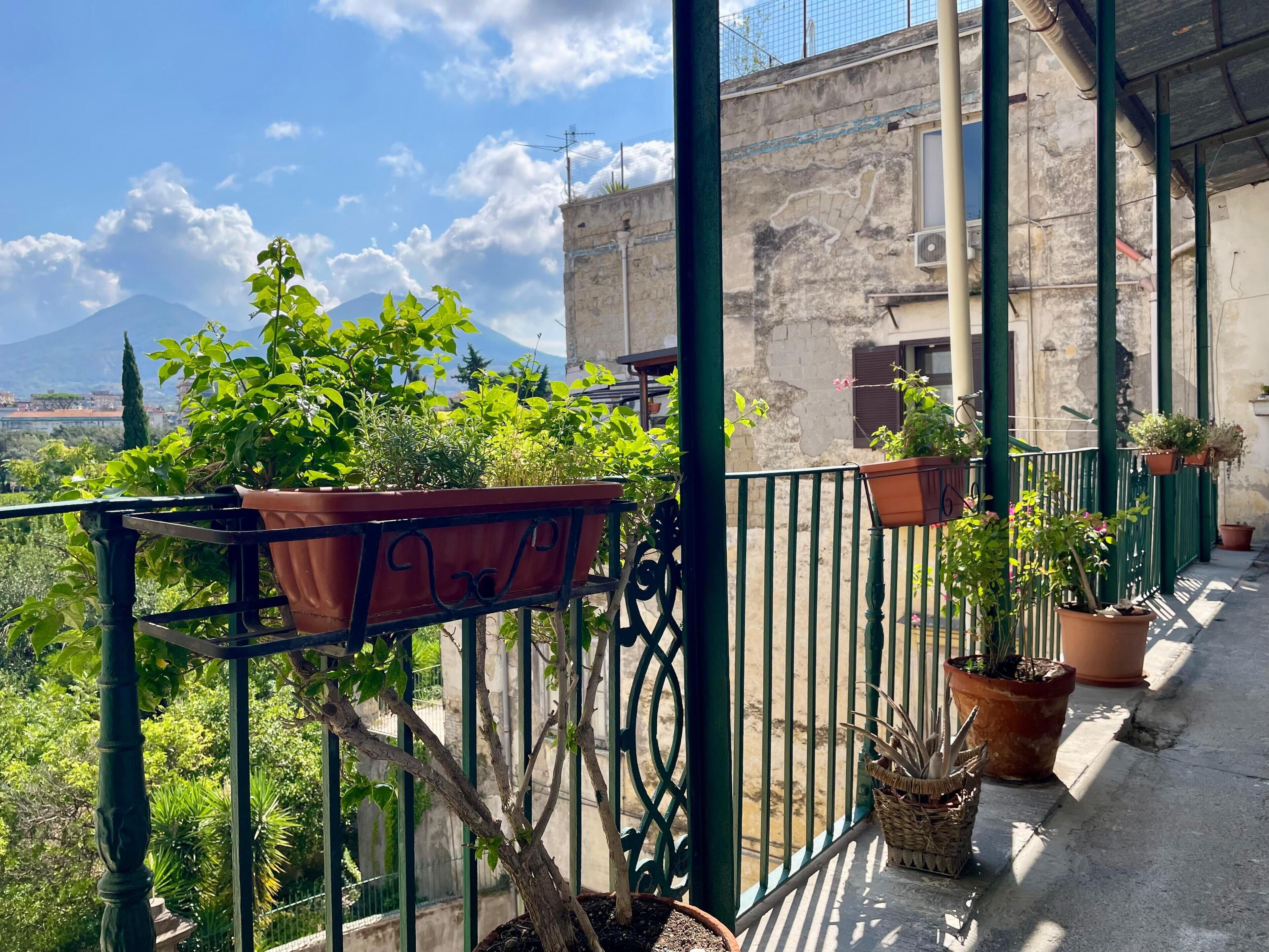 Vue depuis l’hébergement