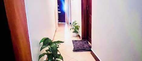 A hallway with a potted plant, a rug, and a door on the right.