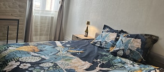 Wine-themed apartment—in the center of Tain l'Hermitage with a large garage.