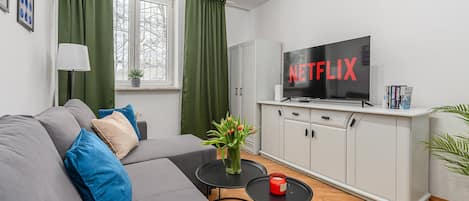 Un salon avec un canapé gris, un téléviseur à écran plat affichant le logo « NETFLIX », une petite table sur laquelle se trouve une bougie rouge et une plante en pot.