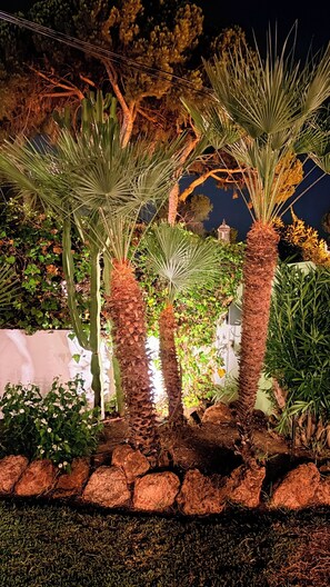 Ein Garten bei Nacht mit Palmen und verschiedenen Pflanzen.