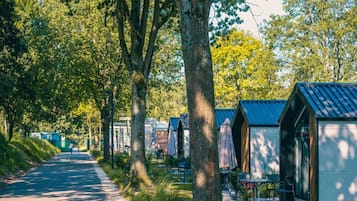 A row of small, single-story cabins with a gravel path leading through a wooded area.