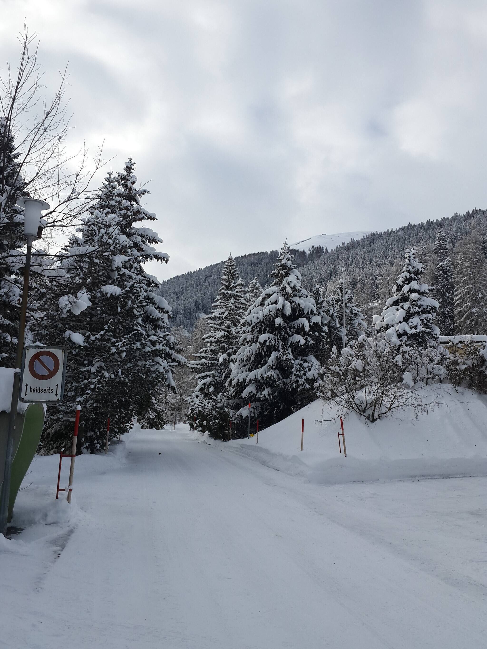 Un paisaje nevado con una señal de no estacionar, árboles cubiertos de nieve y un fondo montañoso.