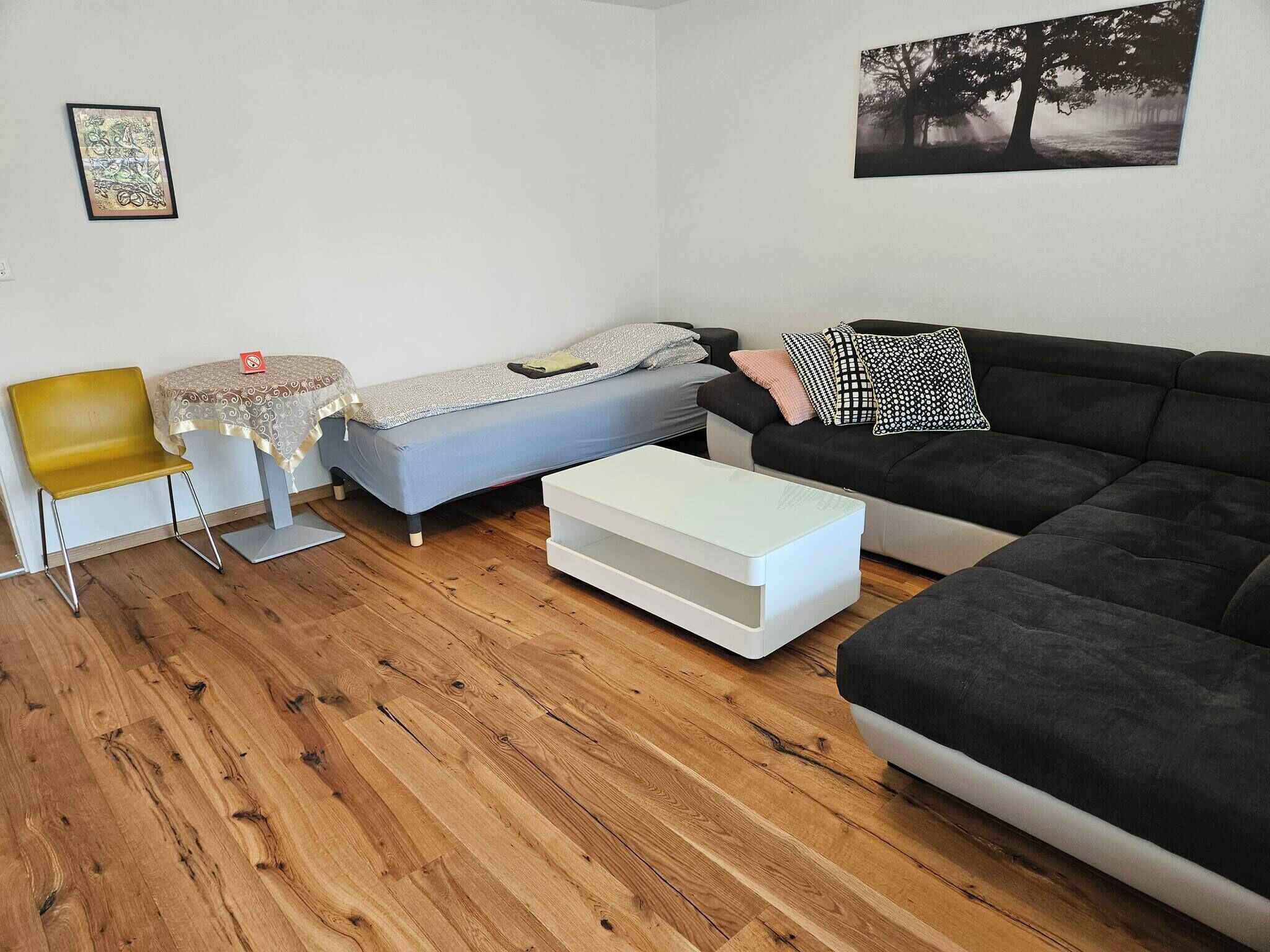 A compact living space with a bed, a sofa, a small table, and a chair.