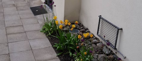 A residential building with a paved walkway, a flower bed with yellow and purple flowers, and a number '9' sign on the wall.