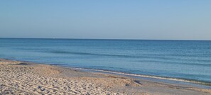 Ein Strand mit Kieselsteinen und ruhiger See.