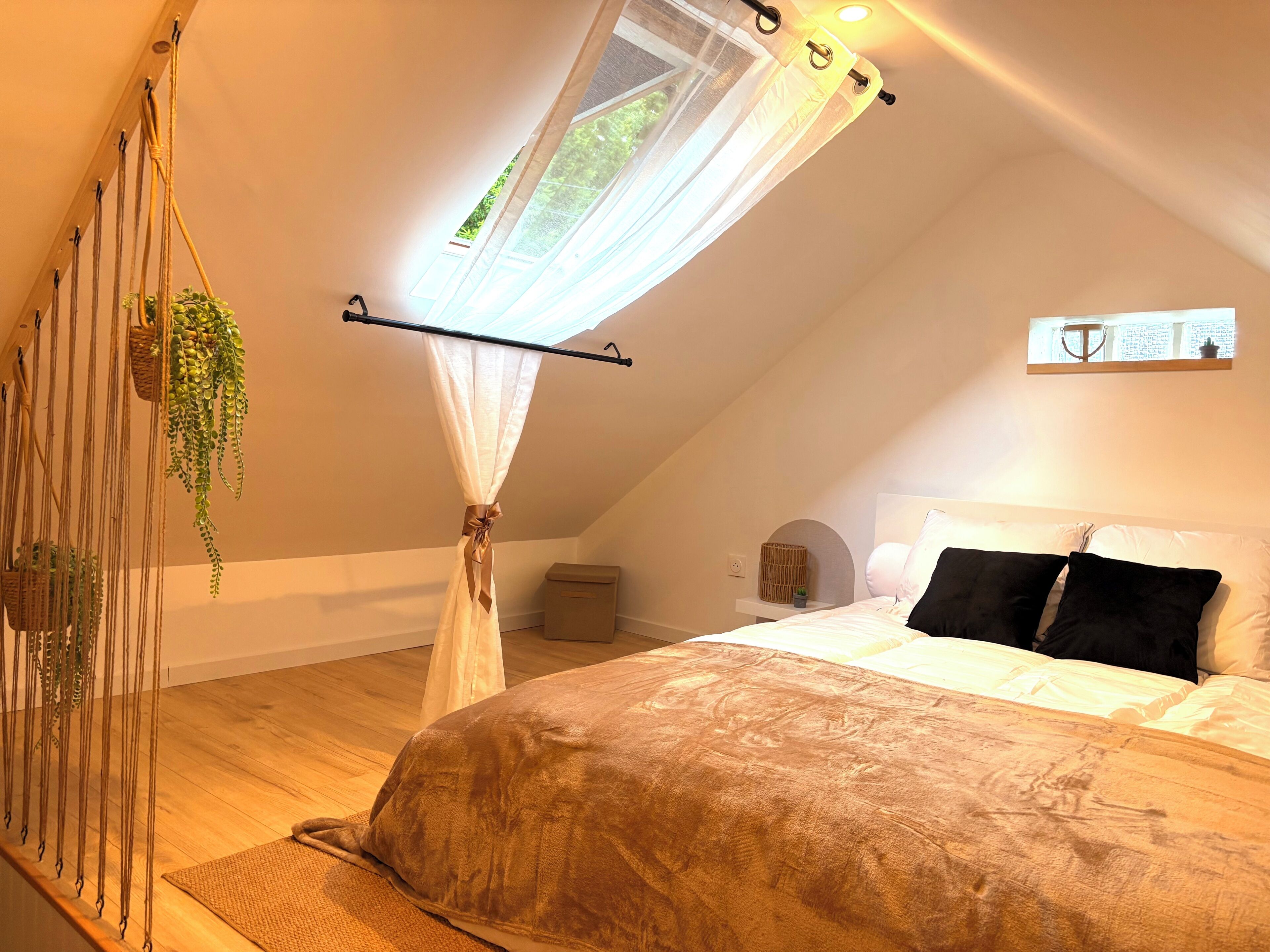 Ein Schlafzimmer mit einem Bett, einer hängenden Pflanze, einem Fenster mit Vorhang und einem kleinen Nachttisch.