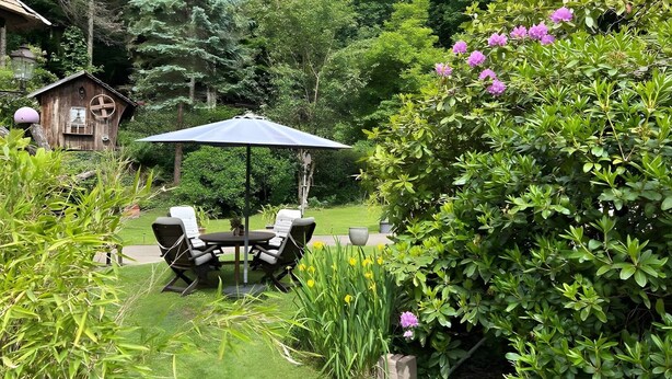 A garden with a wooden structure, a table with chairs, and a variety of plants.