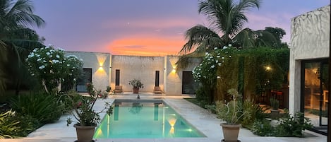A pool area with a sunset view, surrounded by potted plants and palm trees.