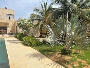 A poolside area with a lounge chair, a small pool, and a variety of tropical plants.