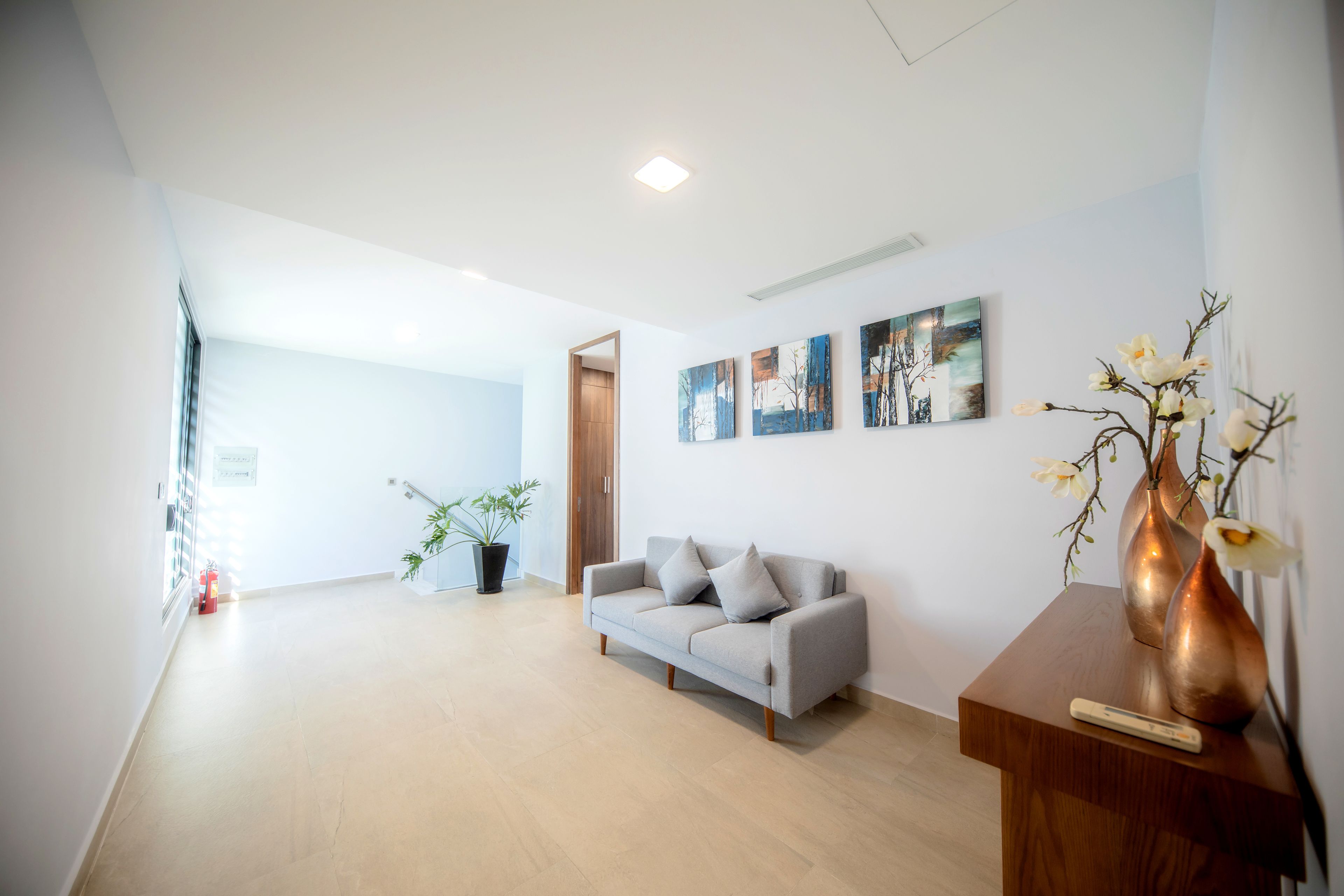 A modern living room with a grey sofa, a wooden coffee table, and a potted plant.