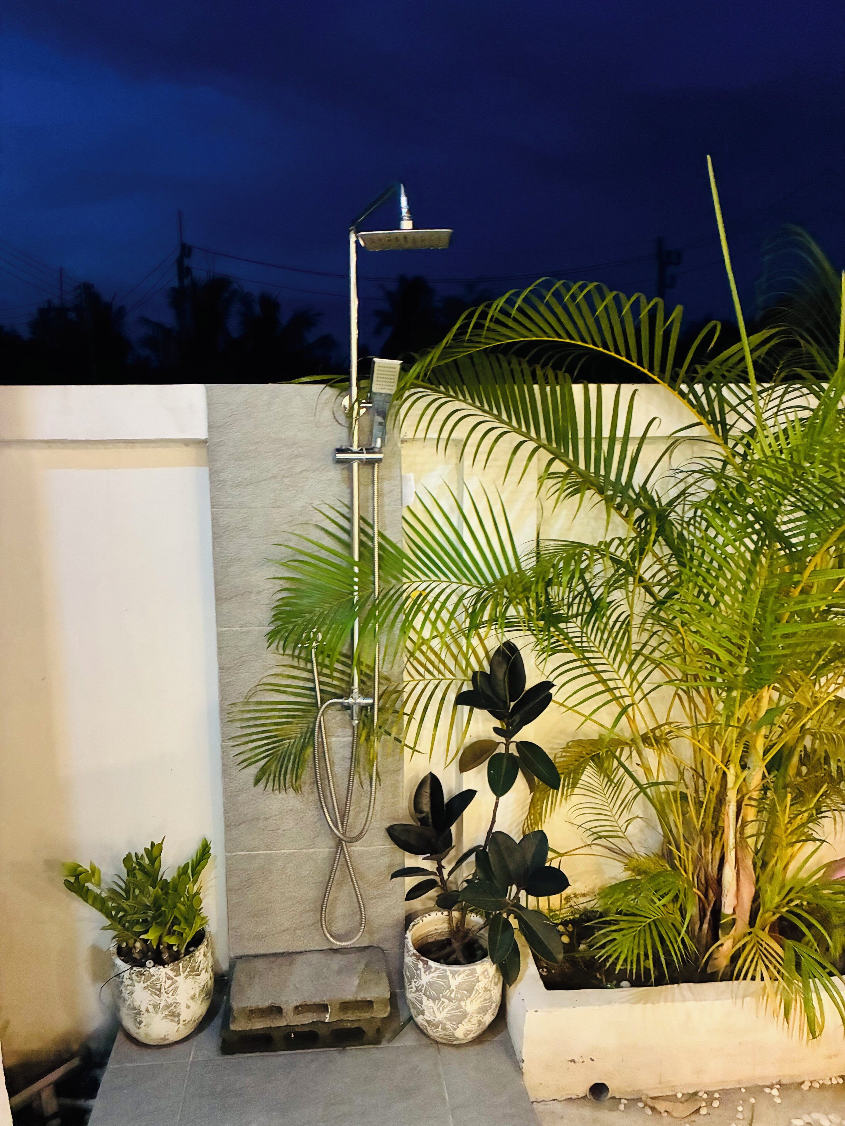Un pequeño espacio exterior para ducha con manguera metálica y cabezal de ducha instalado en la pared, rodeado de plantas en macetas.