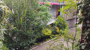A residential building with a balcony, surrounded by dense foliage and flowering plants. - Fantastic 4-bedroom lodge in delightful Manali for your getaway (Manali)