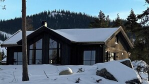Une cabane en bois dotée de grandes fenêtres, entourée d’un paysage enneigé et surplombée par une montagne boisée.