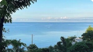 Property grounds - Ocean View Villa w/ Infinity edge Pool, AC Comfort & Bohol Island Bliss (Lila)