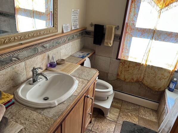Un baño con lavamanos de mármol, inodoro y zona de ducha.