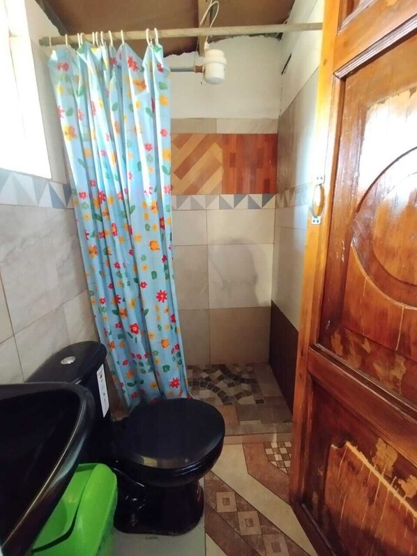 A bathroom with a shower, toilet, and a wooden door.