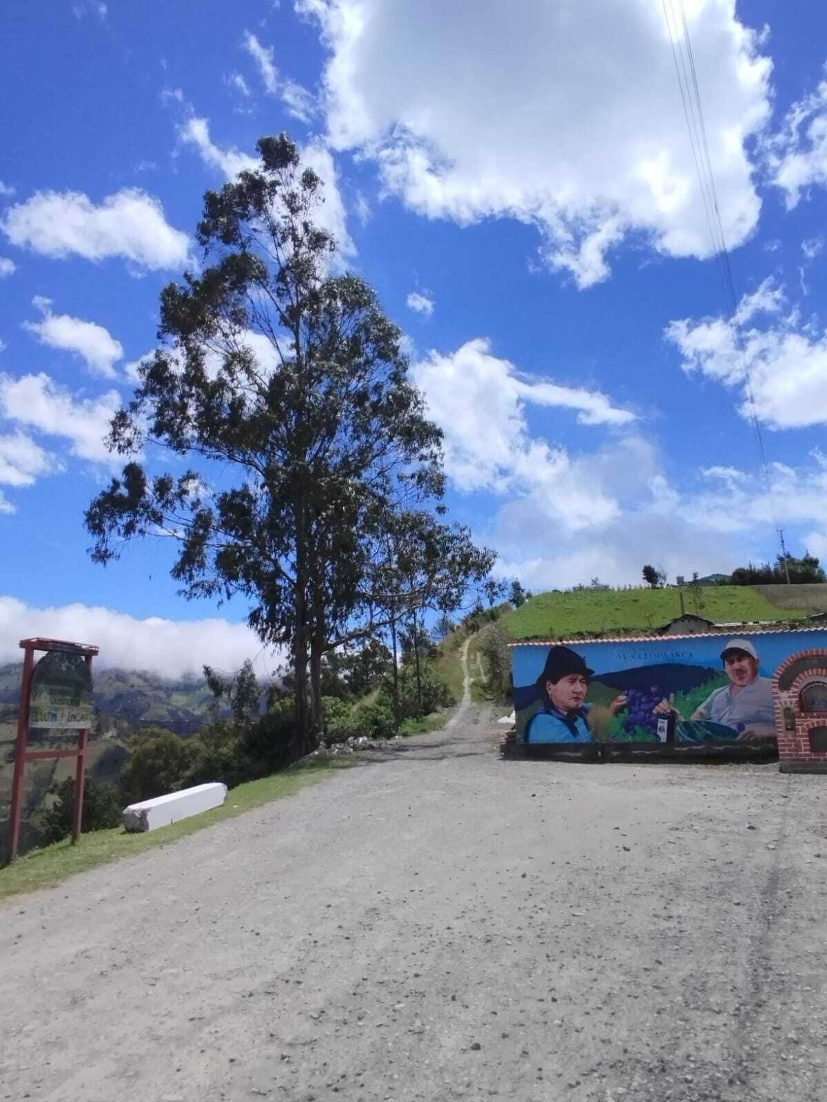 A rural road with a dirt path, a large tree, and a mural on a building.