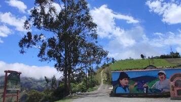 A rural road with a dirt path, a large tree, and a mural on a building.