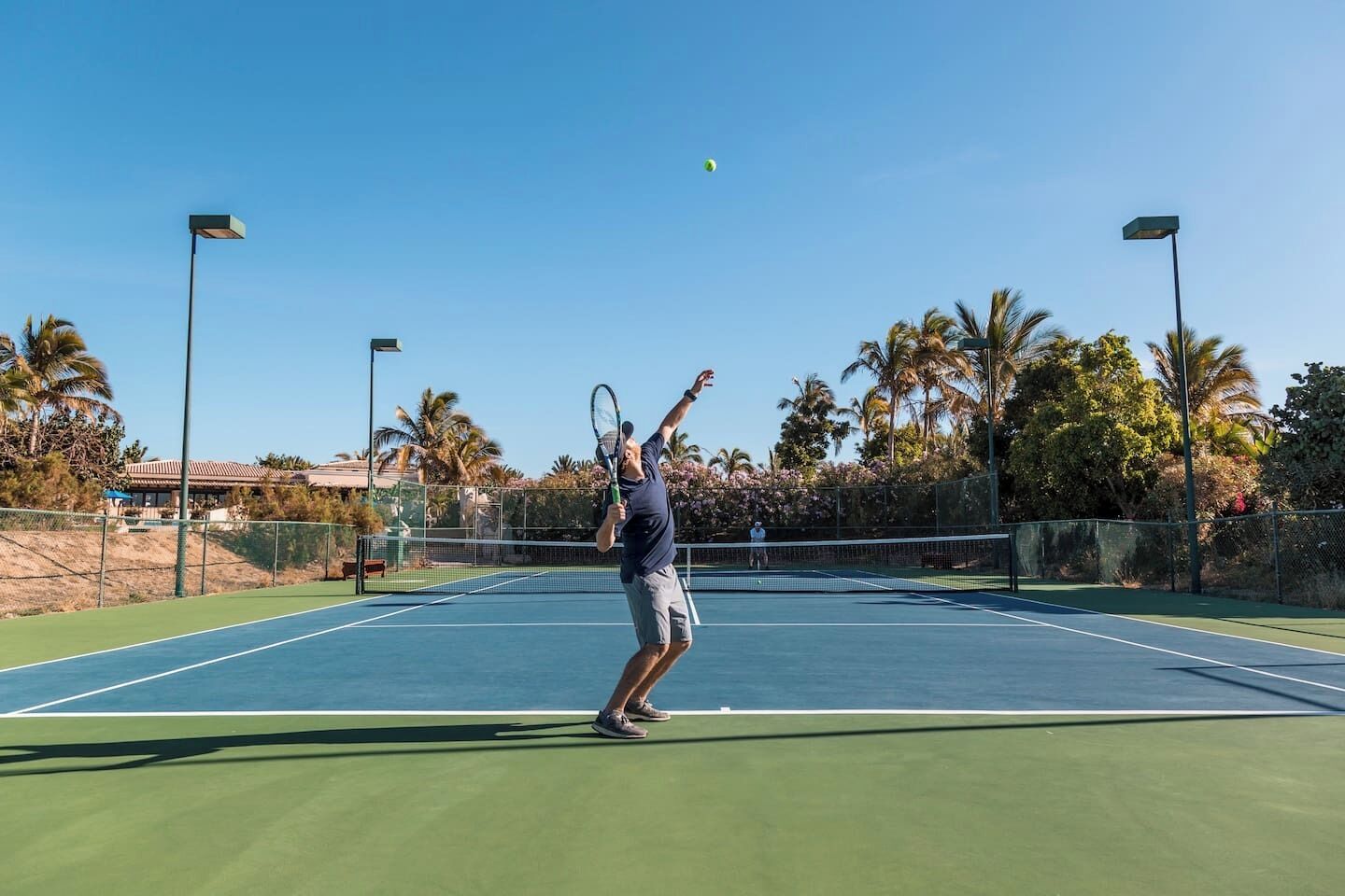 A tennis court with a net, palm trees, and a clear sky.