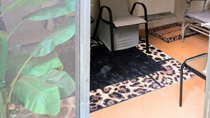 Um quarto com porta de vidro deslizante, porta branca com uma placa acima, uma cadeira, uma mesinha e um tapete com estampa de leopardo.