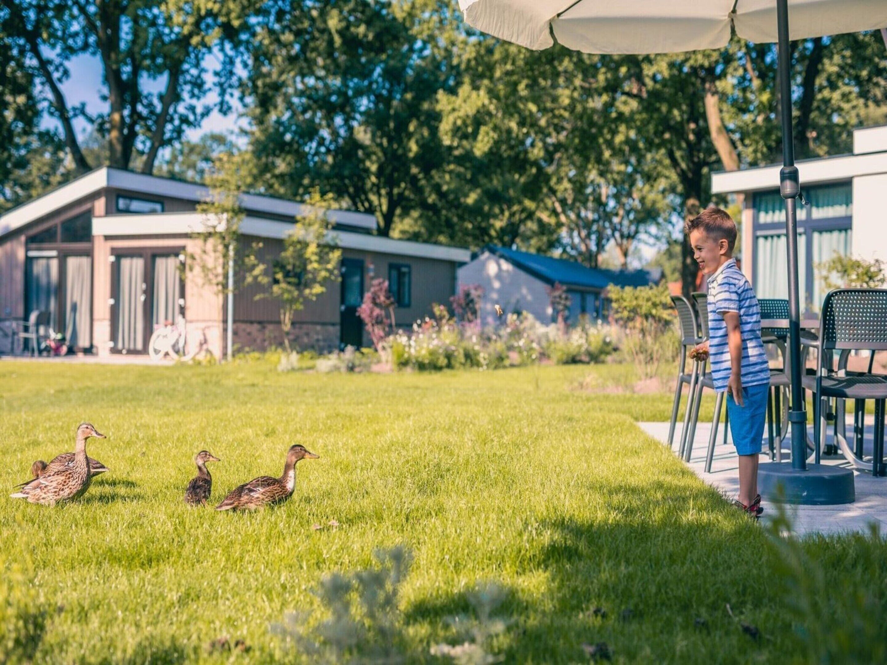 Chalet | Tuin