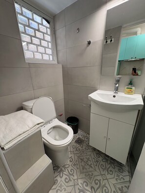 Een haardroger, handdoeken, zeep, toiletpapier