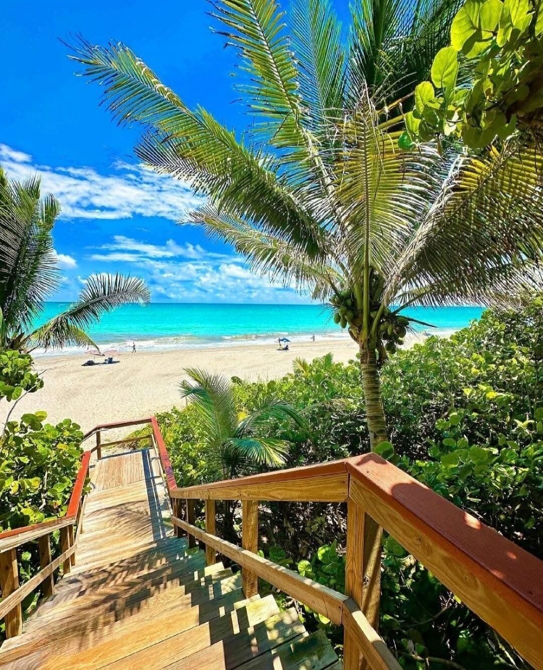 A wooden staircase leading to a beach with clear turquoise water and palm trees.