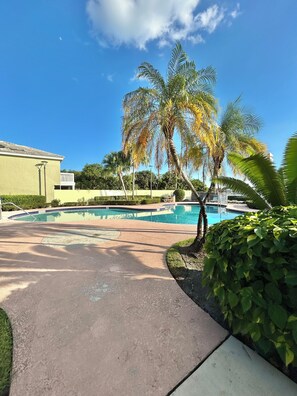 Una piscina con una palmera y un edificio al fondo.