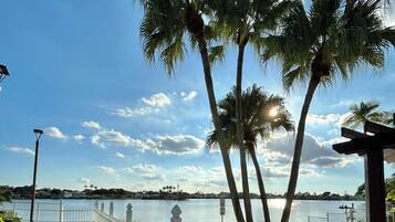 A waterfront property with a white fence, palm trees, and a clear sky.