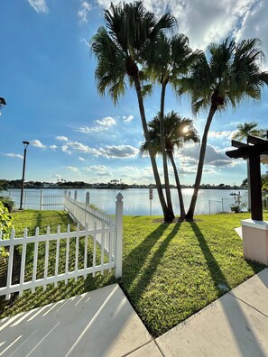 A waterfront property with a white fence, palm trees, and a clear sky. - Cozy 2-bedroom pet friendly family home in central Margate with pool access. (Margate)