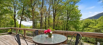 Cozy 1-bedroom apartment in charming Sky Valley, GA. 11 miles from Highlands, NC