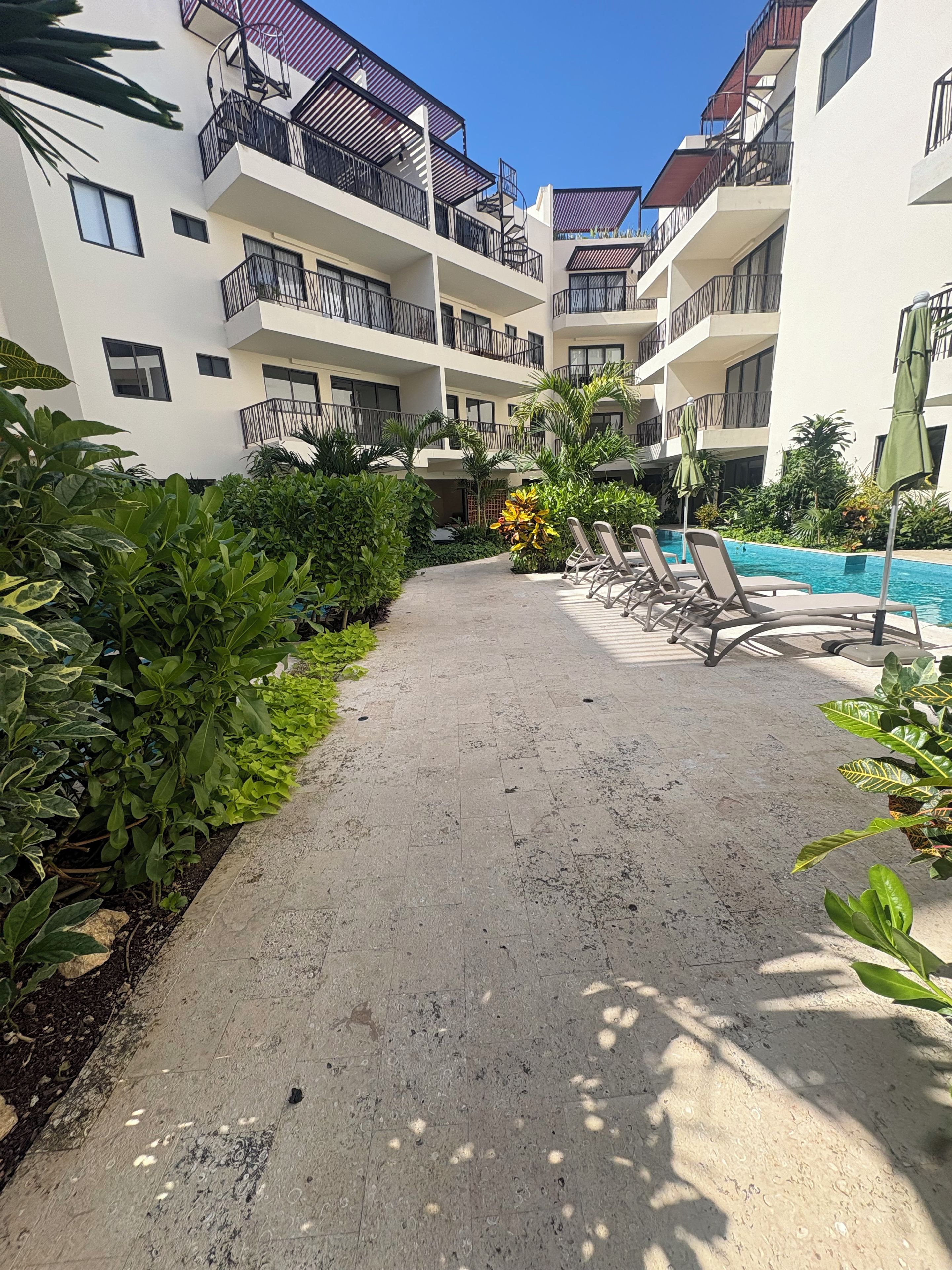 Pátio com piscina, cadeiras de descanso e diversas plantas.