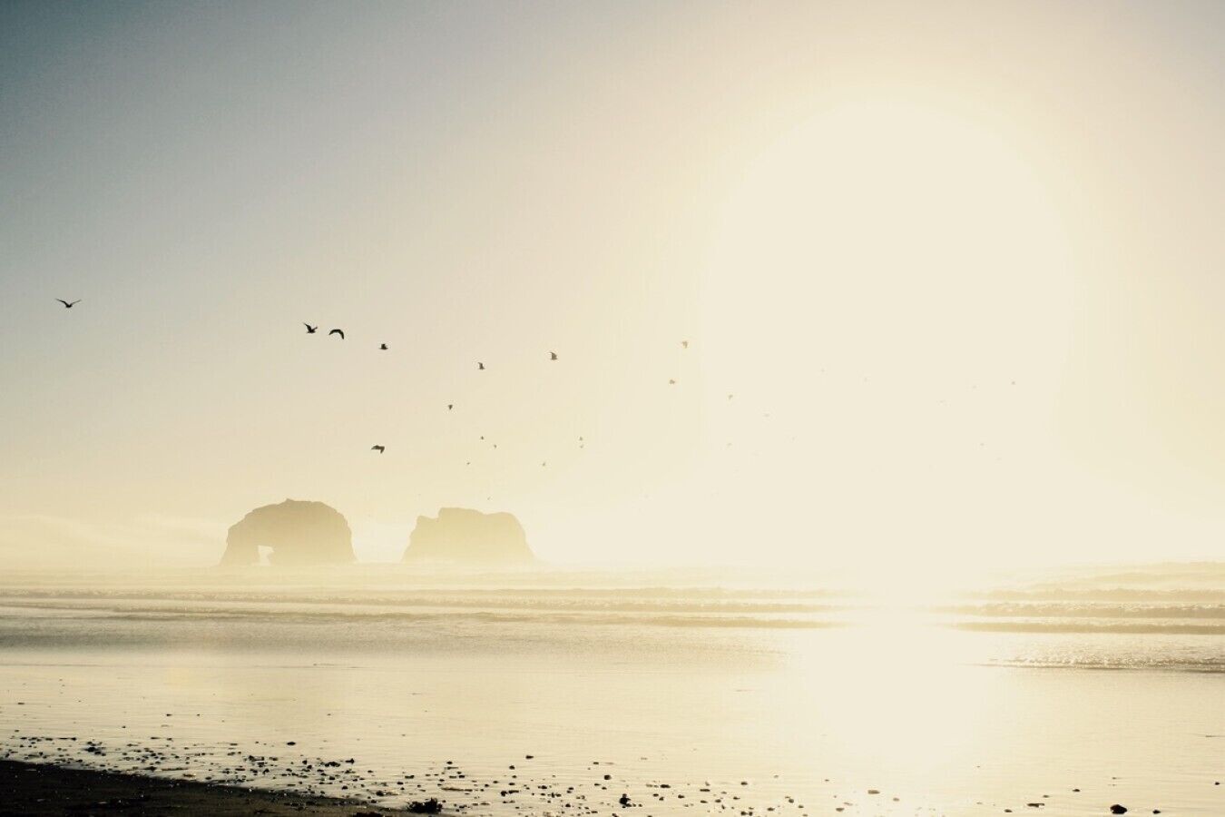 A beach scene with calm water, distant rock formations, and birds flying.