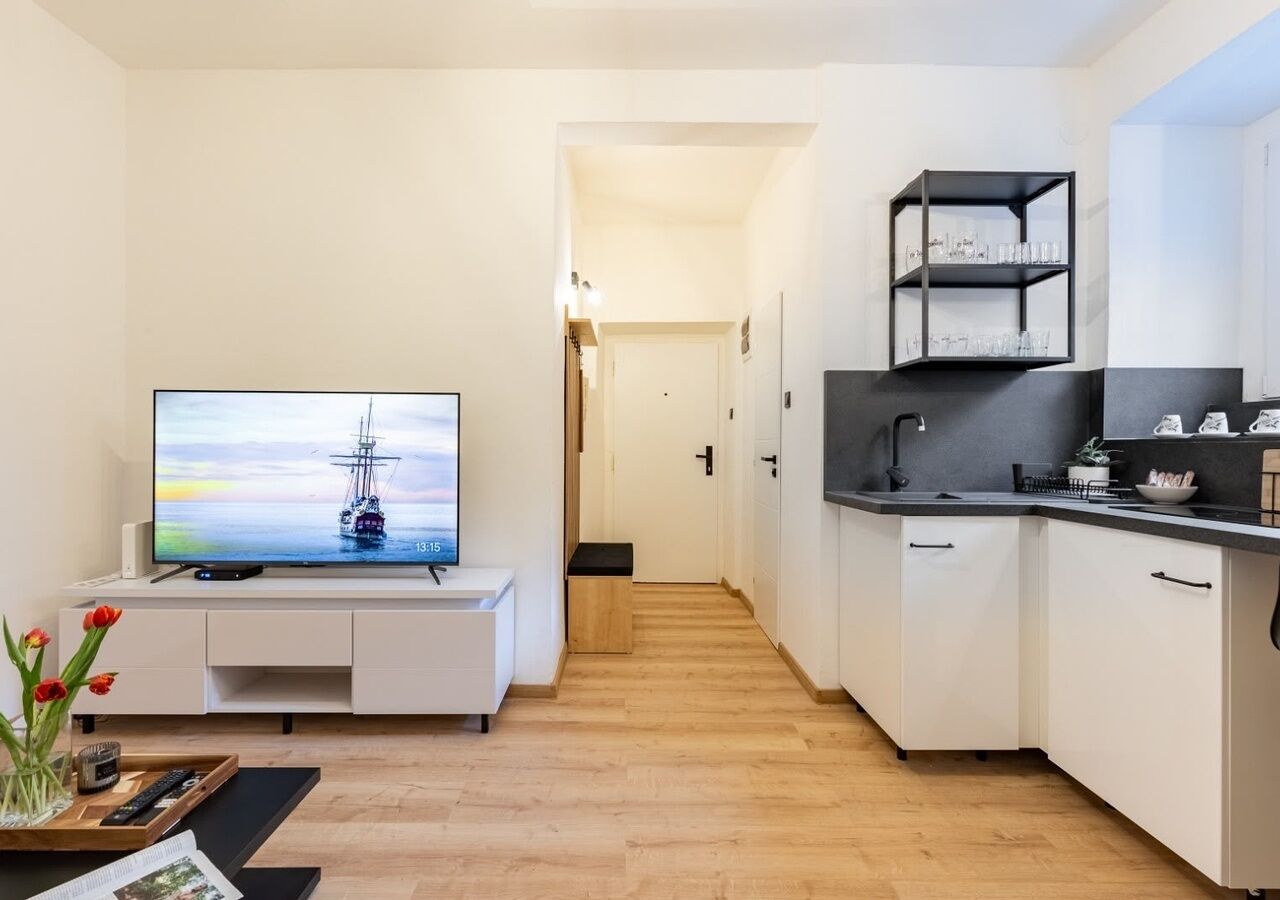 Un appartement moderne doté d’une télévision, d’une kitchenette et d’un couloir menant à une autre pièce.