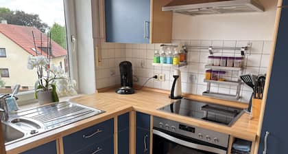 Charming Maisonette-Wohnung mit Balkon in Neustadt an der Waldnaab.
