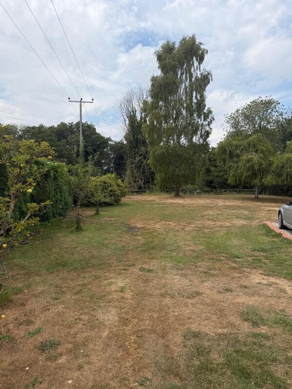 A grassy outdoor area with a car parked on the right, surrounded by trees and a fence.
