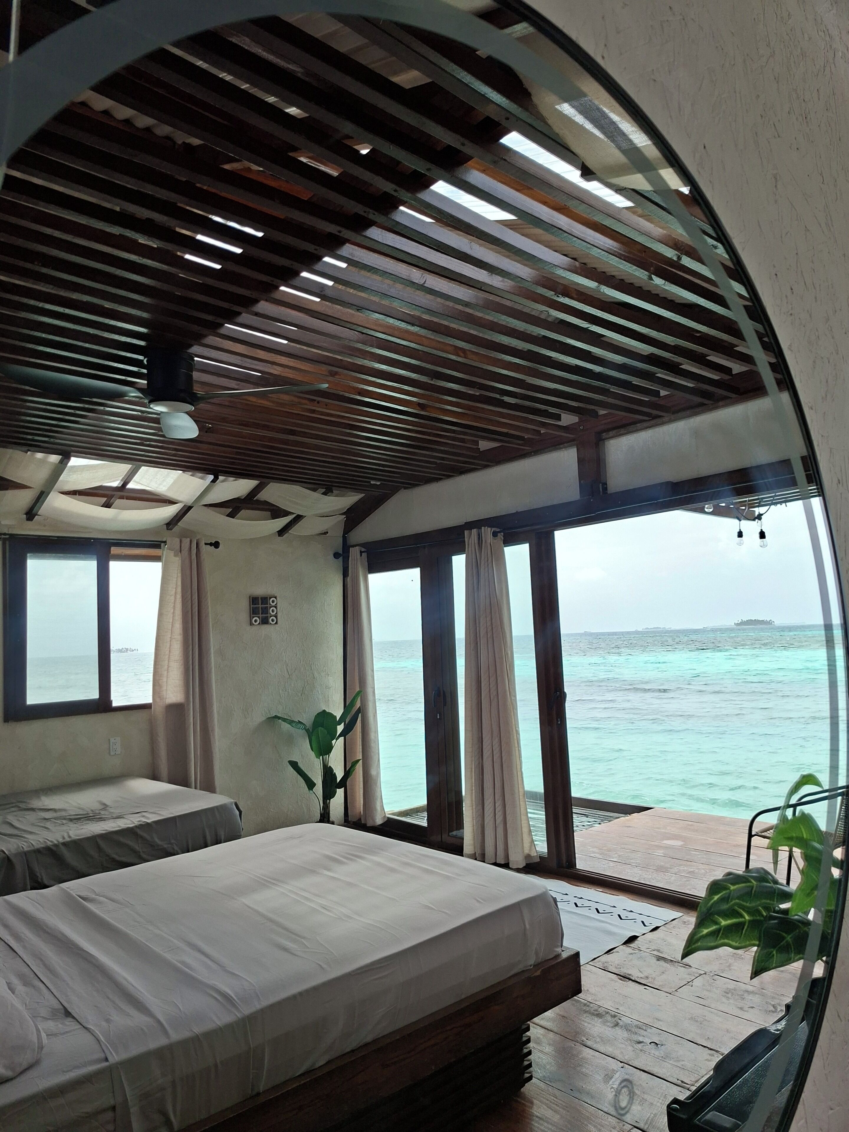 A room with a bed, a potted plant, and a view of the sea.