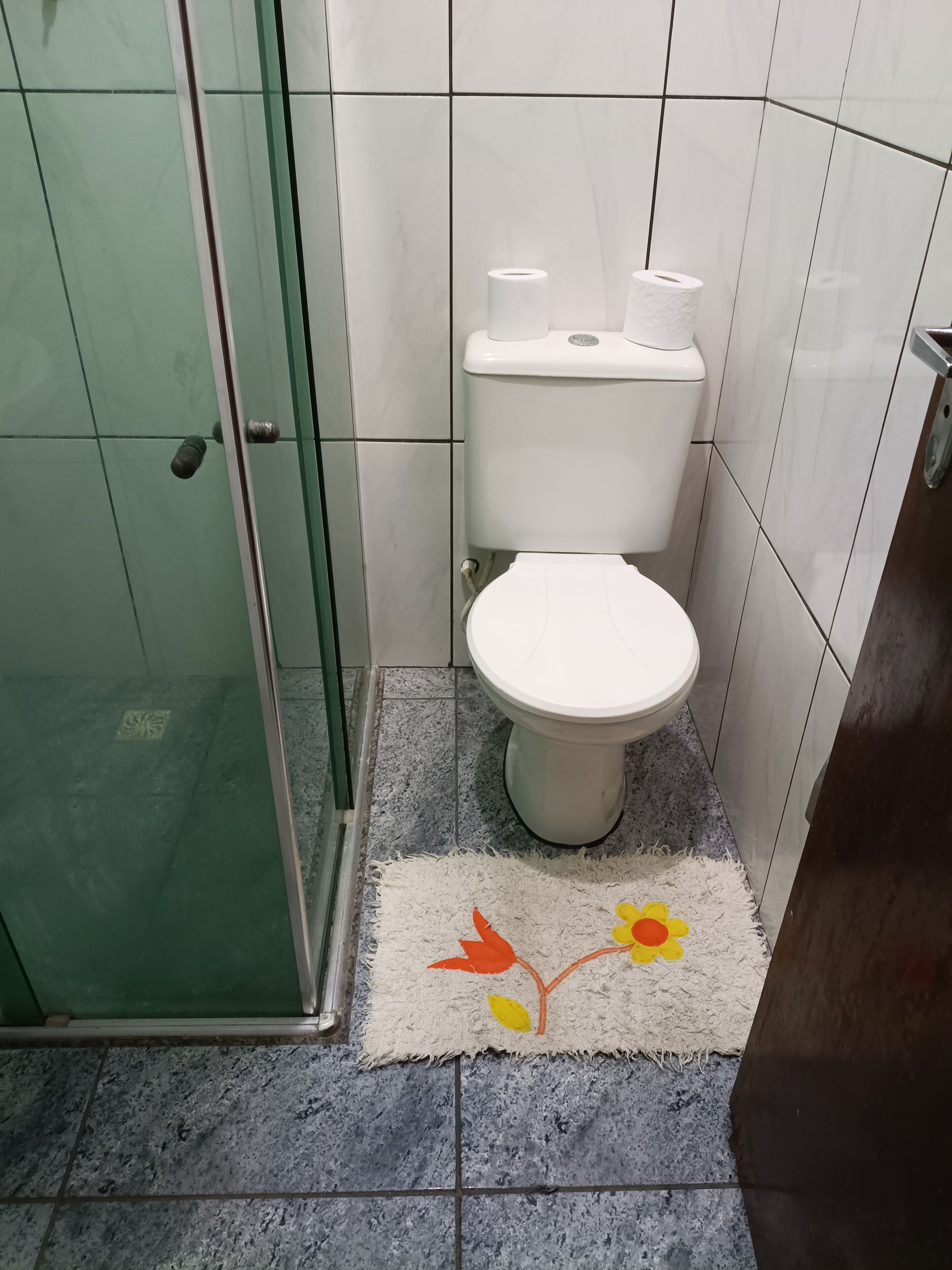 A bathroom with a toilet, a glass shower door, and a rug with a floral design.