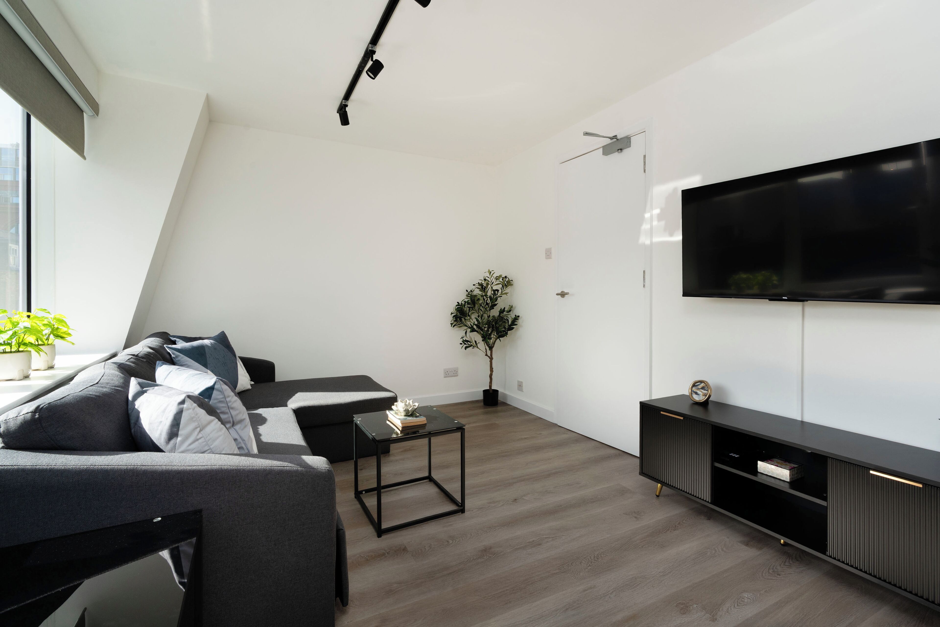 A modern living room with a sofa, a coffee table, a TV, and a plant.