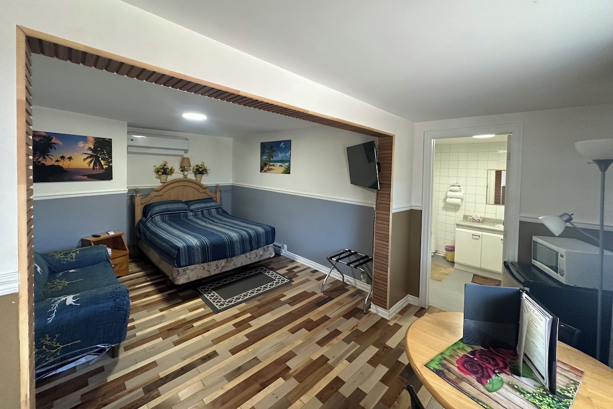 A bedroom with a bed, a sofa, a TV, and a dining area with a table.