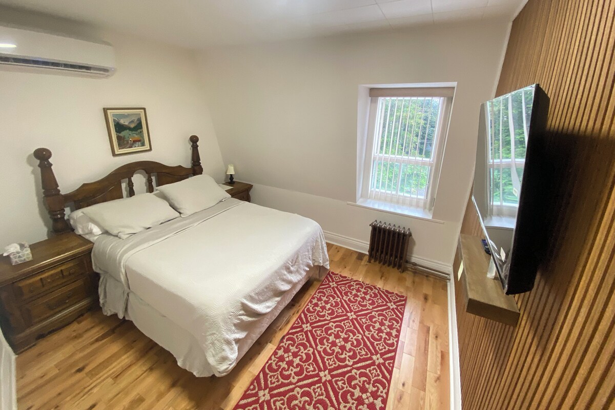 A bedroom with a bed, nightstands, a radiator, a window, and a television.