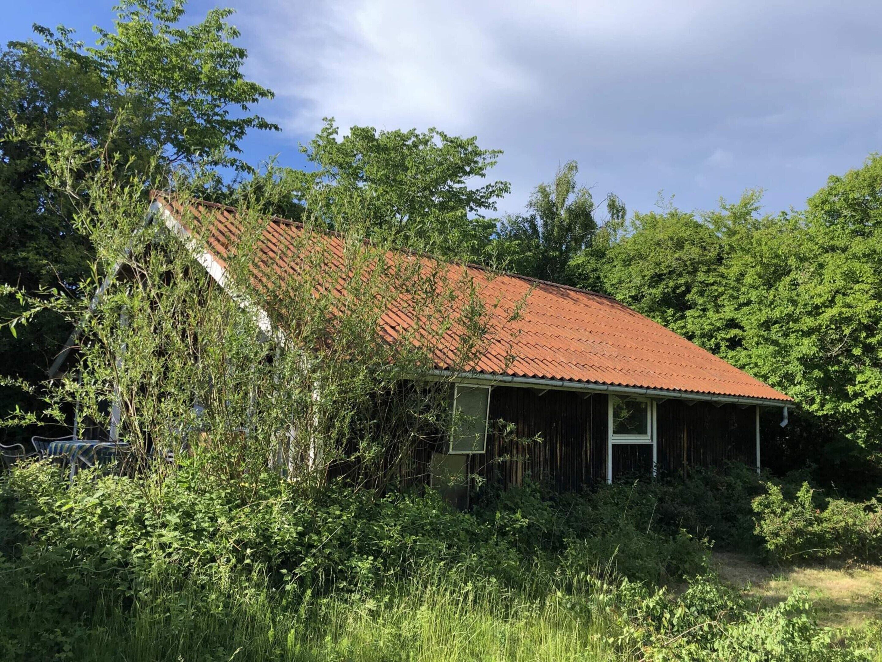 A rustic wooden building with a sloped red roof, surrounded by dense greenery and trees.