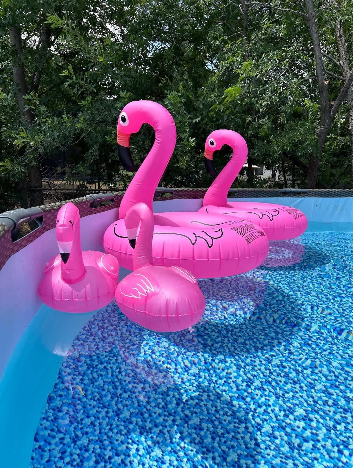 A pool with pink inflatable flamingos and a blue tiled floor.