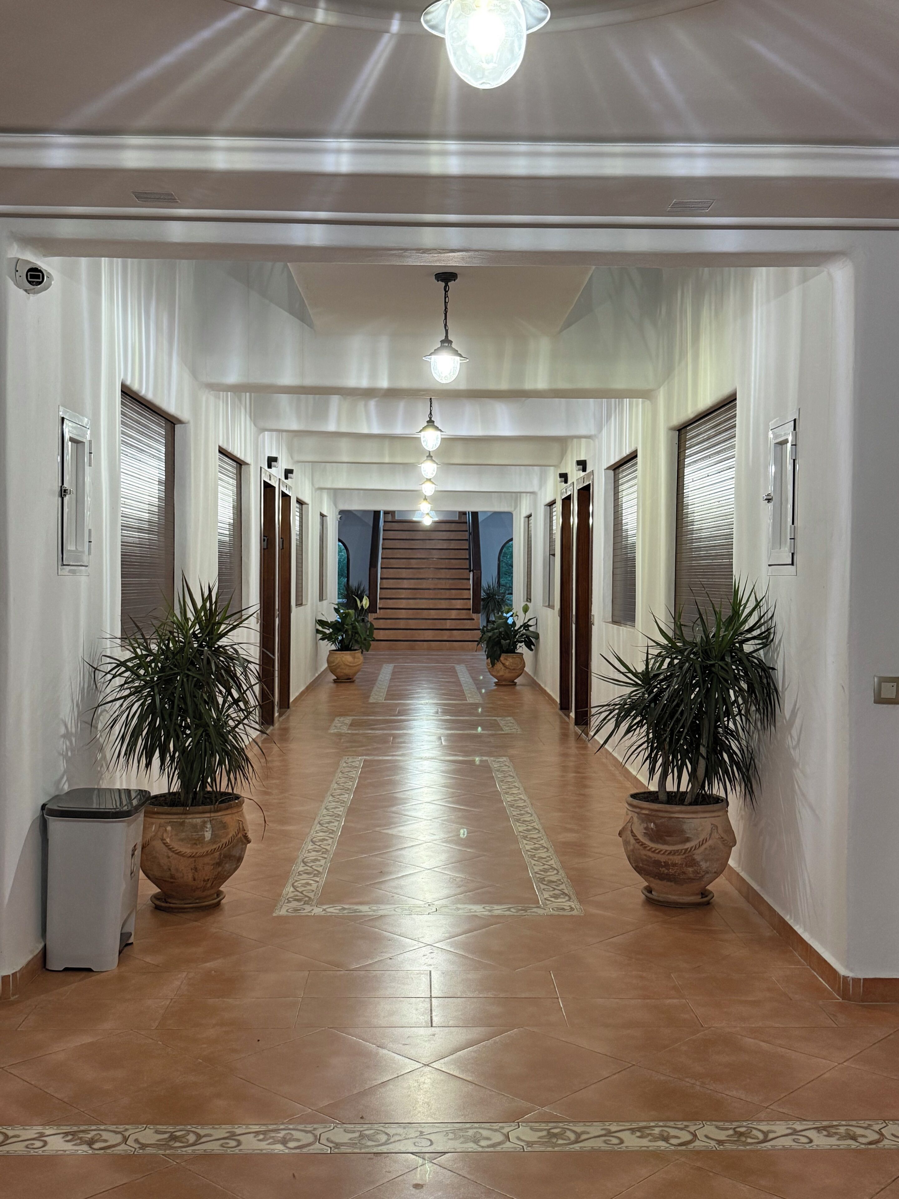 Um corredor com piso de azulejos, plantas em vasos e uma escada que leva a um andar superior.