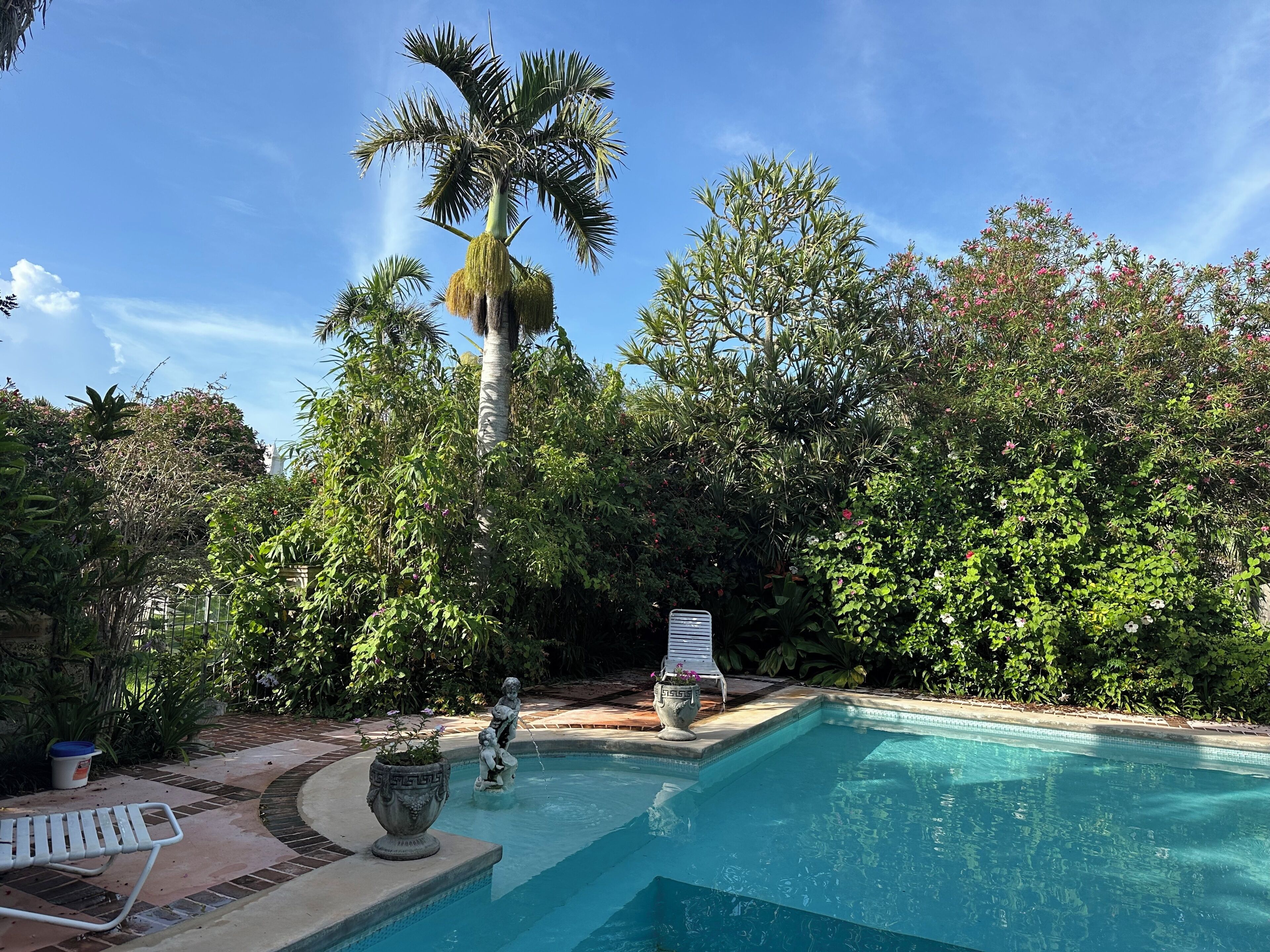 A swimming pool with a statue, surrounded by lush greenery and a clear blue sky.