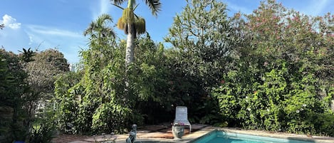 A swimming pool with a statue, surrounded by lush greenery and a clear blue sky.