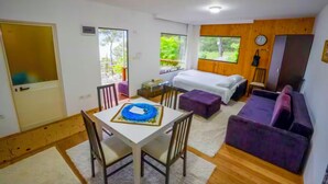 A room with a bed, a sofa, a dining table with chairs, and a small kitchen area.