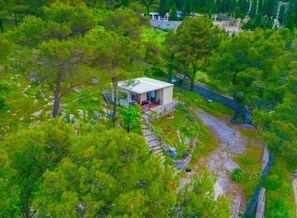 Exterior - Among The Trees (Shiroka)